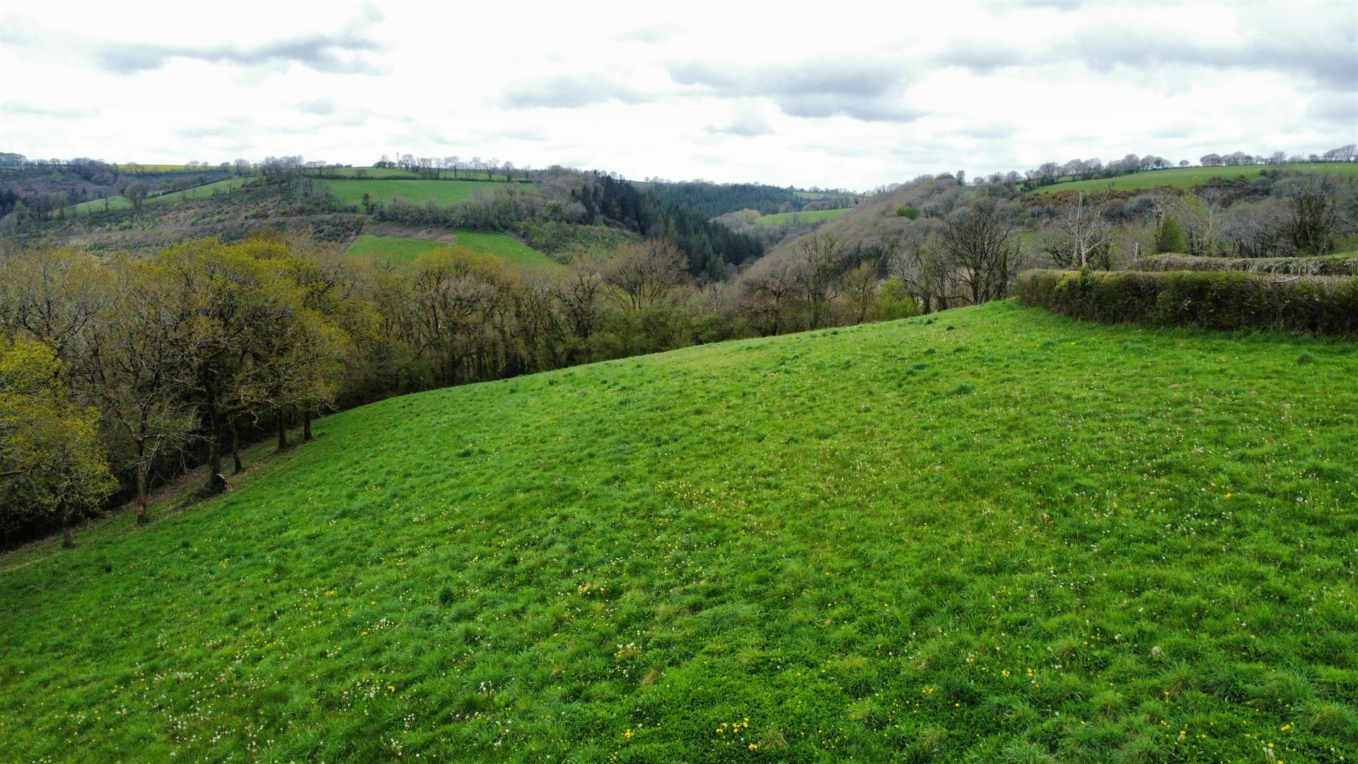 13.43 acres of Land at Gelliwen, St. Clears offered for sale in 3